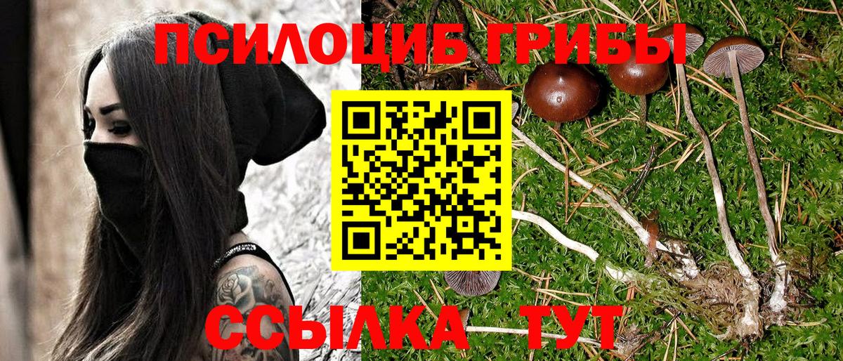 Псилоцибиновые грибы прущие грибы  Псилоцибиновые грибы Psilocybe  Борисоглебск  Вход с VPN 